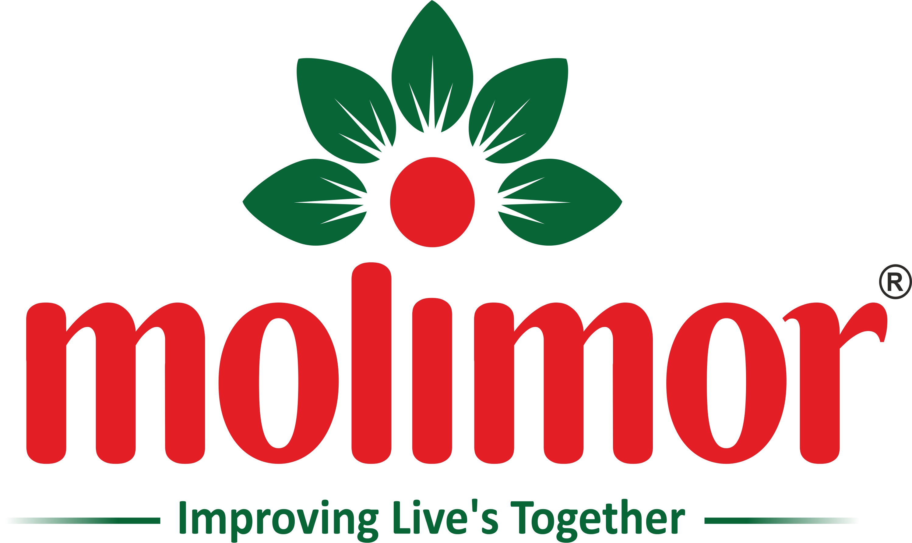 MOLIMOR logo